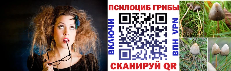 блэк спрут ТОР  где купить наркоту  Пересвет  Псилоцибиновые грибы прущие грибы 
